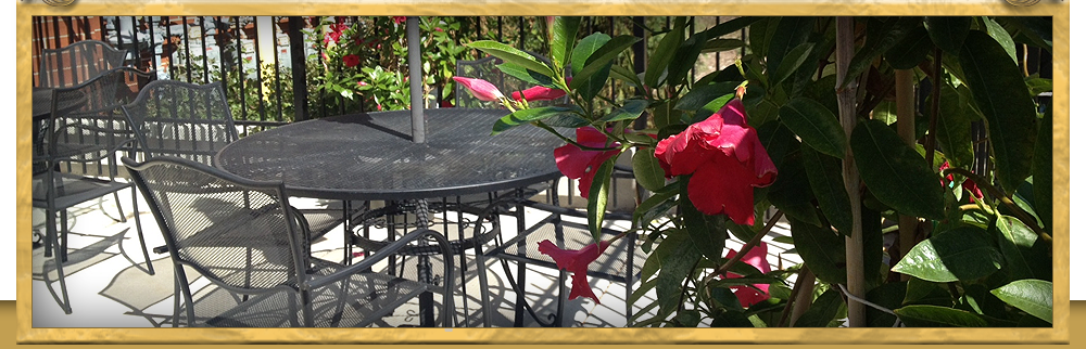 Tazza Italian Ristorante